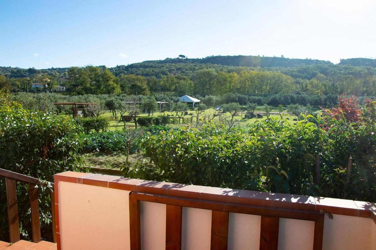 Iscairia Country House Ашеа Екстер'єр фото